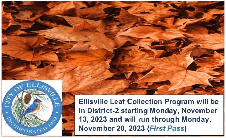 Leaf Collection District2