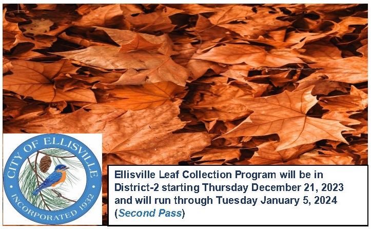 Leaf Collection District2 2nd