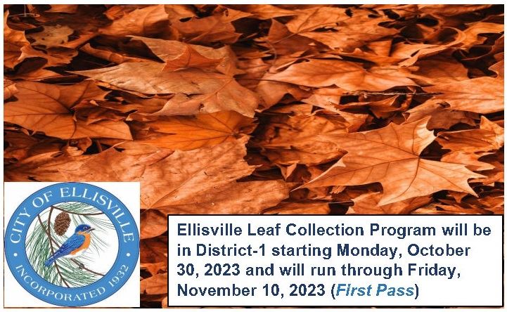 Leaf Collection District1