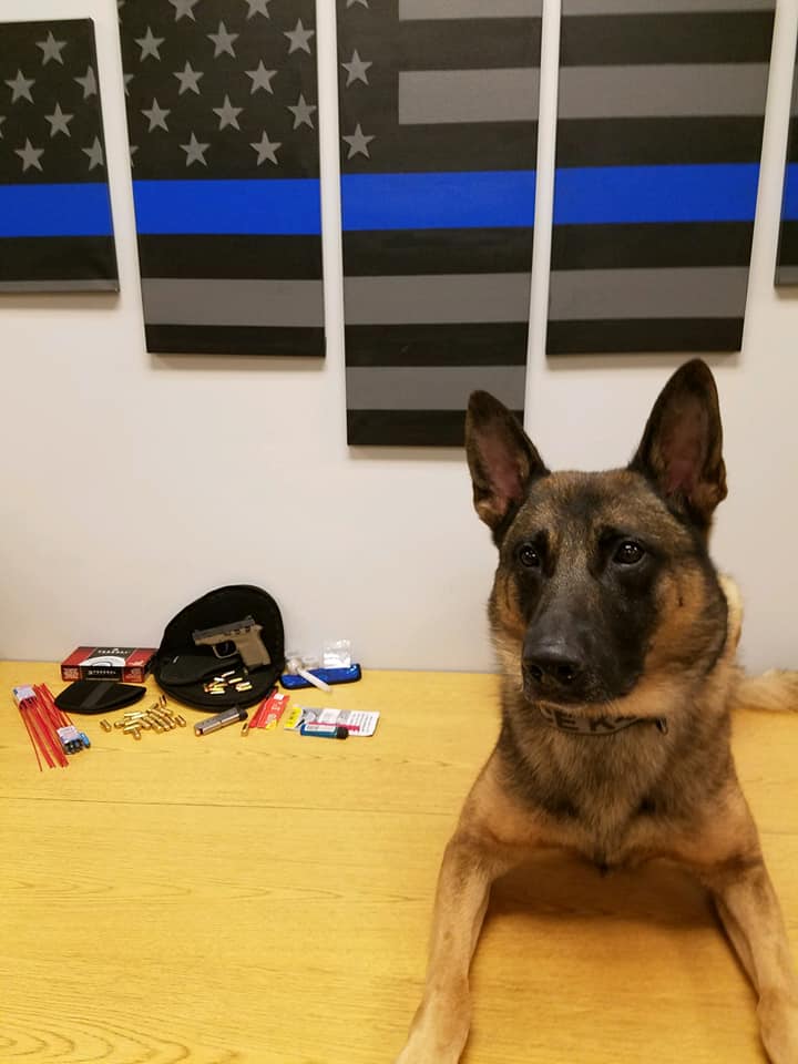 69323181_2371746166372587_26815868830744576_n