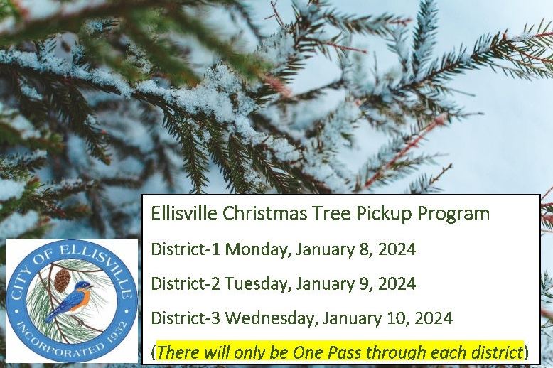 Christmas Tree Program